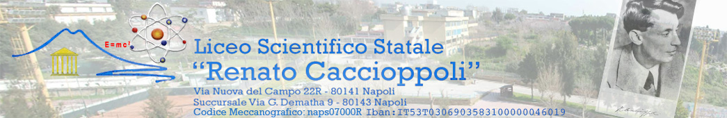 Liceo Scientifico Statale "Renato Caccioppoli"